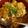 クック21GP7V☆'s cooksnap of when they made 三元豚の簡単柳川風丼。.