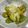 クック81NK9U☆'s cooksnap of when they made 簡単！そら豆のオリーブオイル焼き.