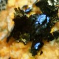 piyochako's cooksnap of when they made 簡単☆天かす丼.
