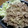 よし33☆'s cooksnap of when they made 今が旬❤新生姜と豚肉の塩炒め❤.