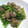 トクライ's cooksnap of when they made 砂肝と大根の葉の塩炒め.