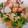 maple_po's cooksnap of when they made タコときゅうりとゴーヤの和風サラダ.