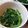 ♡ЁМi♡'s cooksnap of when they made 空芯菜のあっさり炒め.