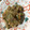toraneko3's cooksnap of when they made 簡単！イサキの「なめろう」.