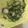 クックZ8J4H4☆'s cooksnap of when they made 簡単☆サッパリ！きゅうりの梅しそ漬け.