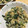 dianthus☆'s cooksnap of when they made 我が家の人気NO.1 ほうれん草ソテー.