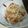 ねこはがき's cooksnap of when they made えのきのさっぱり梅肉あえ.