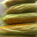 ソフィ♥︎'s cooksnap of when they made これで決まり♡とうもろこしの茹で方.