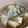 やぁちゃん0420's cooksnap of when they made えのきと舞茸の揚げ出し豆腐.