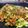 peteco's cooksnap of when they made ホットプレート★焼き肉そば(やきそば).