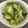 しおりポンママ's cooksnap of when they made 簡単☆ズッキーニのくるくる塩こうじ浅漬け.