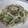 紅葉ｙ's cooksnap of when they made 我が家の定番　ゴーヤの味噌炒め.