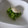 Ｅｍｉｙ's cooksnap of when they made エコエコクッキング※大根の葉のゴママヨ和え※.