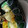 はっぱちゃん0814's cooksnap of when they made お弁当に♬ほうれん草の海苔ハム巻き浸し♪.