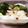 yuna0524's cooksnap of when they made 調味料２つで手軽に浅漬け～家に有るもので.
