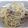 えぞりす しっぽ's cooksnap of when they made 白菜とベーコンの生クリームパスタ.