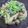 クックMDY1YK☆'s cooksnap of when they made ぶなしめじのバター炒め.