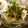 ☆Rokko☆'s cooksnap of when they made ☆新玉ねぎと焼き油揚げの和風サラダ☆.