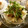 ☆Rokko☆'s cooksnap of when they made ☆新玉ねぎと焼き油揚げの和風サラダ☆.