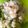 クック18MWHB☆'s cooksnap of when they made なますをアレンジ！ポテトサラダ！.