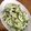 あんママ's cooksnap of when they made キャベツときゅうりの酢の物♡ ＋生姜.
