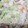 クックZTXRLP☆'s cooksnap of when they made 中華風おから.