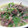 marumaru32's cooksnap of when they made 砂肝とネギの中華風和え物.