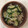 はなはながっぱ's cooksnap of when they made きゅうりとちりめんじゃこ胡麻酢和え.