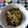カバゴン's cooksnap of when they made ゴーヤーのおかかつくだ煮.
