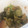 クック88OPFH☆'s cooksnap of when they made ワカメときゅうりのごま酢和え.