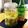 アイスもなか冷's cooksnap of when they made 農家直伝！梅酒の漬け方・コツは砂糖の量♪.