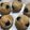 ikue1027's cooksnap of when they made 卵なし犬用パウンドケーキ.