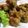 MyDining's cooksnap of when they made 豚薄切り肉で柔らかなんちゃってから揚げ.