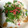 クックH98KR8☆'s cooksnap of when they made 焼き鯖ちらし寿司.