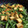 クックAPPFLA☆'s cooksnap of when they made 厚揚げといんげんの照り味噌炒め.