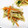 o^o^oayuayu's cooksnap of when they made もやしとツナの中華サラダ〈やよい会〉.
