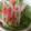クックJAQ6EL☆'s cooksnap of when they made 水菜ともやし、かにかまのスゴだれサラダ.
