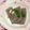 ぽぽきゅ's cooksnap of when they made おろし生姜&葱たっぷりおつまみこんにゃく.