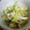 クックGB6431☆'s cooksnap of when they made きゅうりとキャベツの胡麻和え.