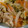 フクソノ's cooksnap of when they made 簡単!切って炒める野菜炒め.