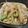 ☆☆ゆめママ☆☆'s cooksnap of when they made 5分で完成！簡単もやしナムル.