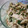 nanahouse1's cooksnap of when they made 袋の中で混ぜるだけ♪鳥ささみの梅あえ.