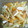 Berora's cooksnap of when they made じゃが芋・さつま揚げのきんぴら風.
