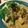 ecobeer's cooksnap of when they made シーフードグリーンカレー.