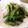 クック4LE2C7☆'s cooksnap of when they made レンジで簡単＊いんげんのおかかしょうゆ.