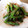 クック4LE2C7☆'s cooksnap of when they made レンジで簡単＊いんげんのおかかしょうゆ.