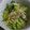 クックGB6431☆'s cooksnap of when they made キャベツときゅうりとツナの和え物.