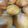 ゆりのきみき's cooksnap of when they made milk丸パン（HB使用）.