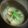 ひさかた's cooksnap of when they made あっさり磯風味✿ムール貝のみそ汁.