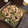 ぬこたん✩'s cooksnap of when they made お弁当のおかずに☆味付け簡単野菜炒め.